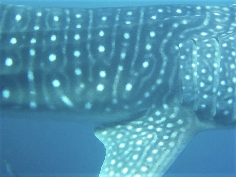 59b22537-2ce1-416f-966d-0ee453c7d9d0