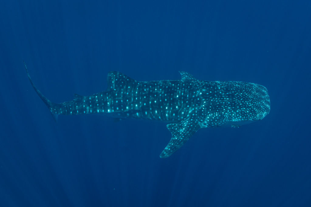 0ce2dfdf-901f-4f57-88eb-865eea235a9b