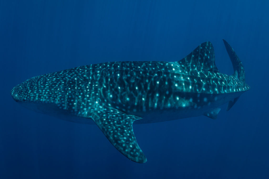 0ce2dfdf-901f-4f57-88eb-865eea235a9b