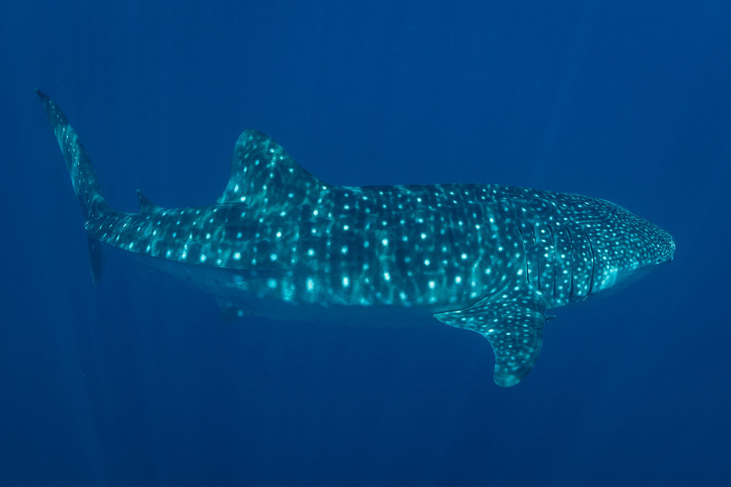 0ce2dfdf-901f-4f57-88eb-865eea235a9b