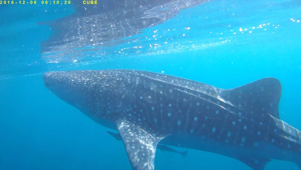 abfec947-196b-449c-a73b-cb892a641663