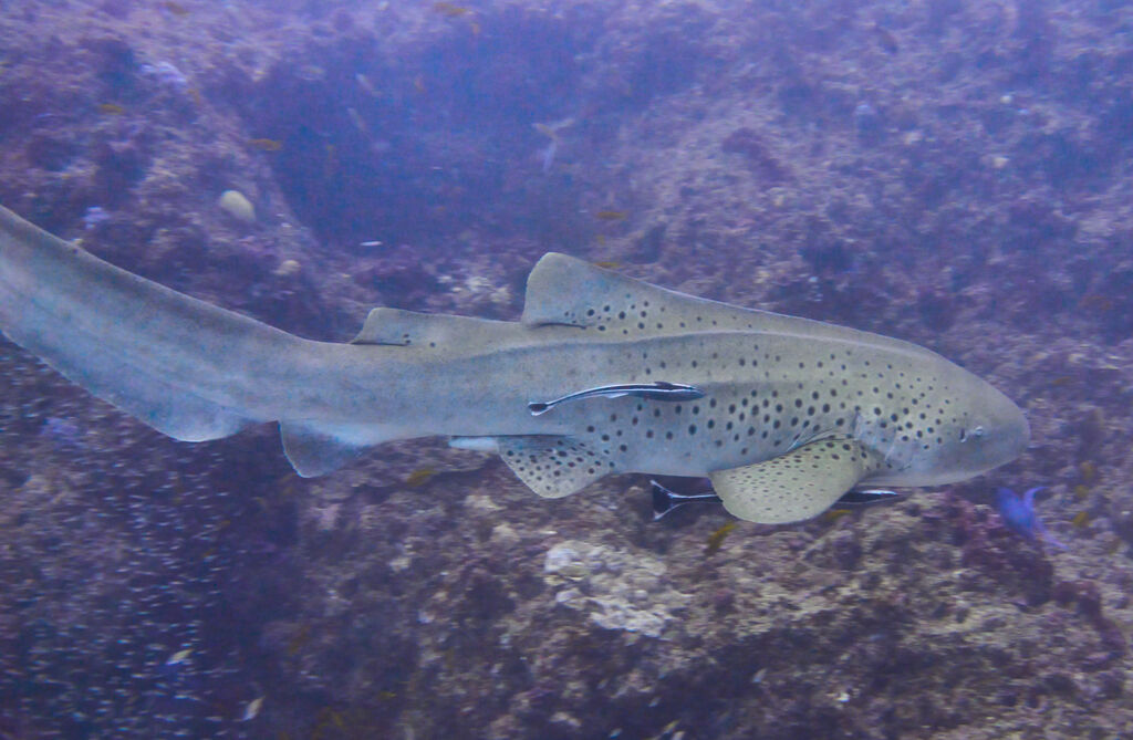 638f4934-8aec-44bd-aabf-946649a352ad