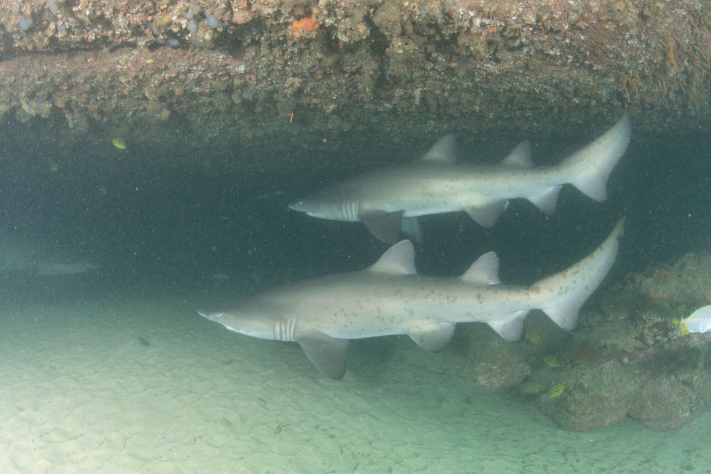 466bfa15-06fe-429b-95c3-5abdd5704bb3