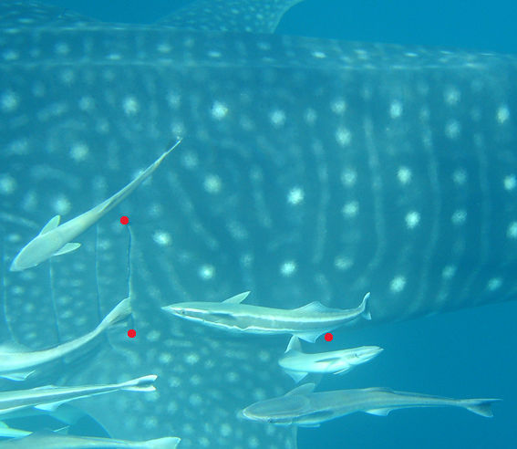 9cb91797-2299-48d7-8637-18918ecdcc61