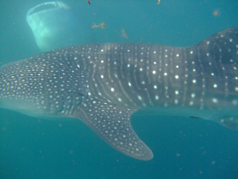 8f6826e9-caeb-4d63-89ba-0c1b29492a76