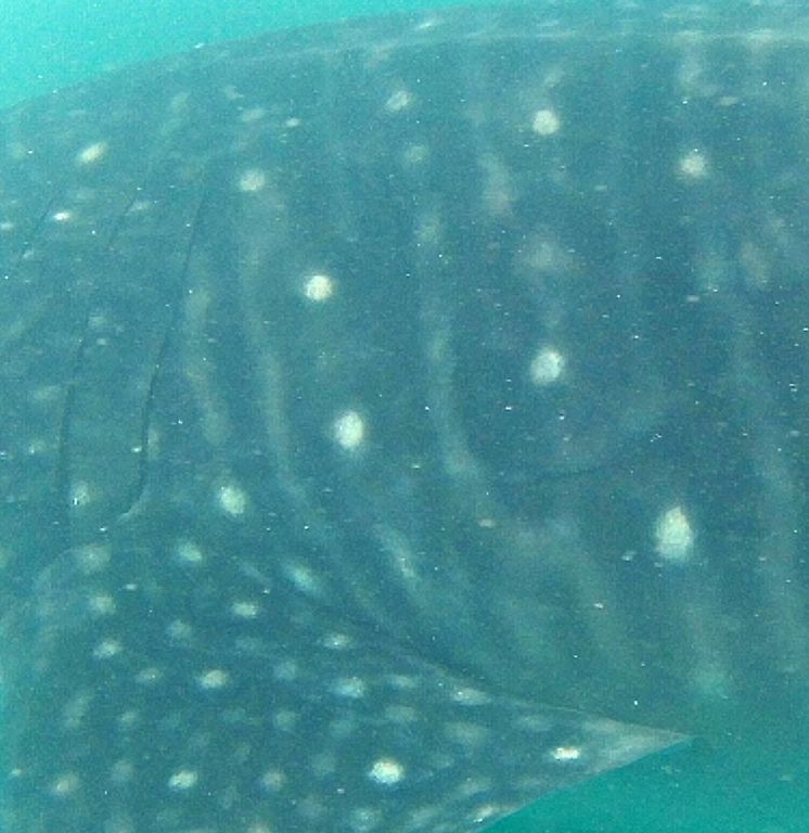 5d1762dd-9a97-4789-8d8b-16077b8e0c2b