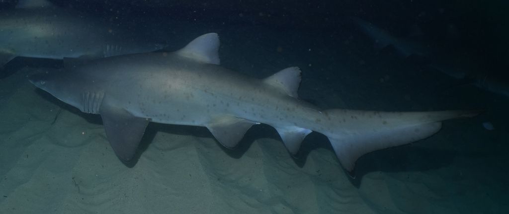 403c0e07-cd6c-4562-b38b-57e6c1088614