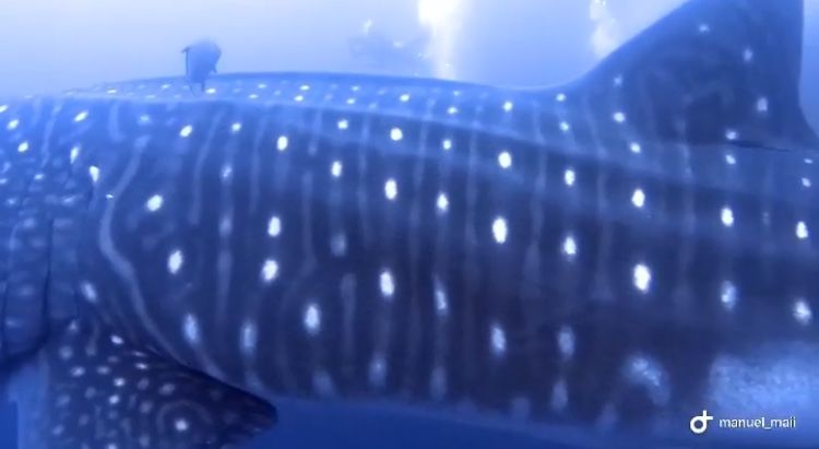 22863a3d-f42d-4463-8c67-72fb9572afb7