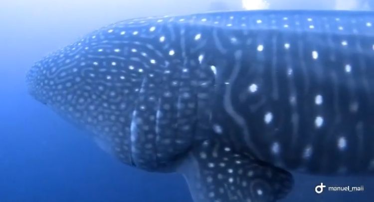 22863a3d-f42d-4463-8c67-72fb9572afb7