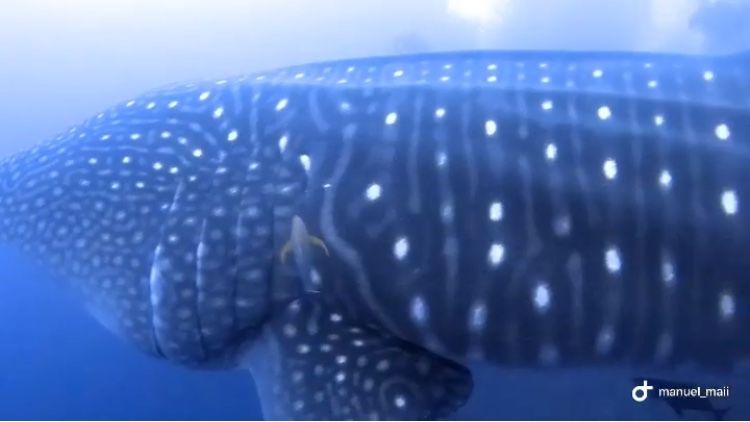 22863a3d-f42d-4463-8c67-72fb9572afb7