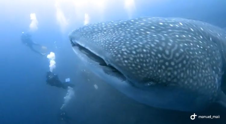 22863a3d-f42d-4463-8c67-72fb9572afb7