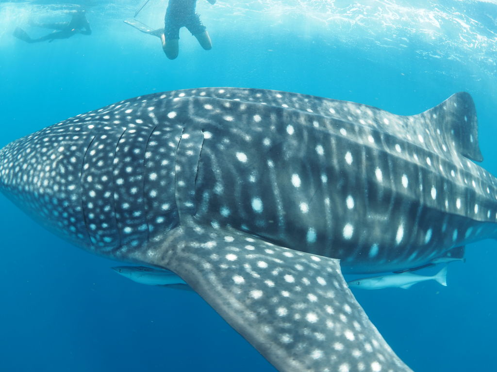 0b49d7b5-7d25-4ae5-b388-4da6aa2bb31f