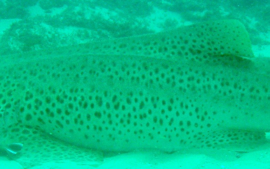 4d371535-0353-4bd2-a251-17a95c5ac01e