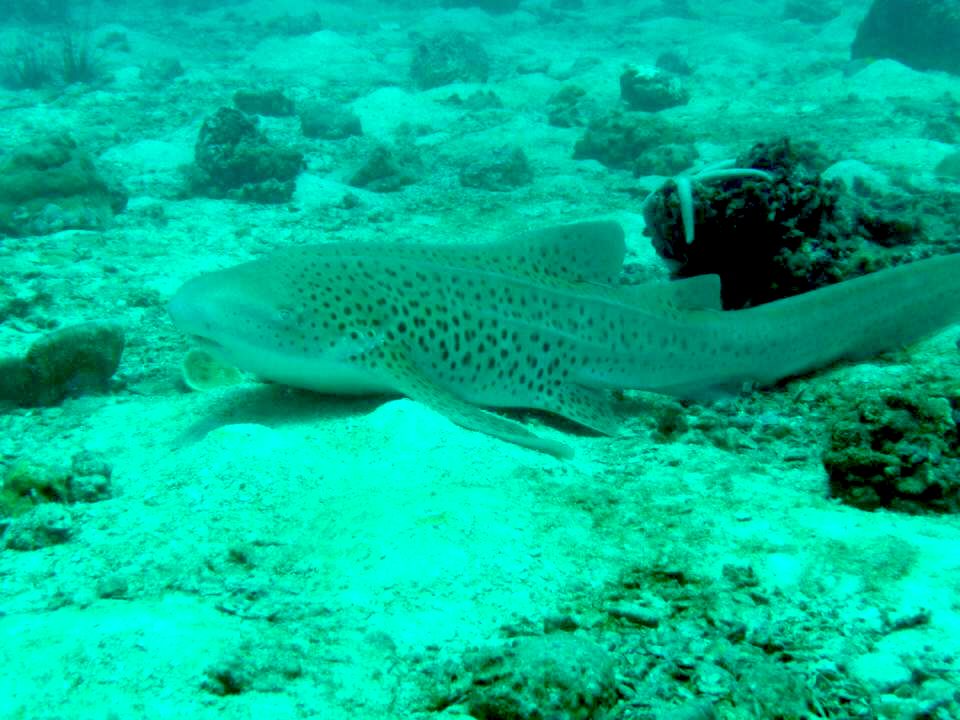 3b724da0-4708-47ce-b321-c46a7750de65