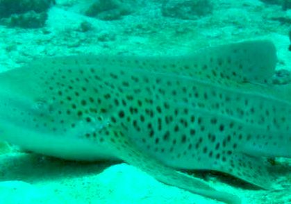 3b724da0-4708-47ce-b321-c46a7750de65