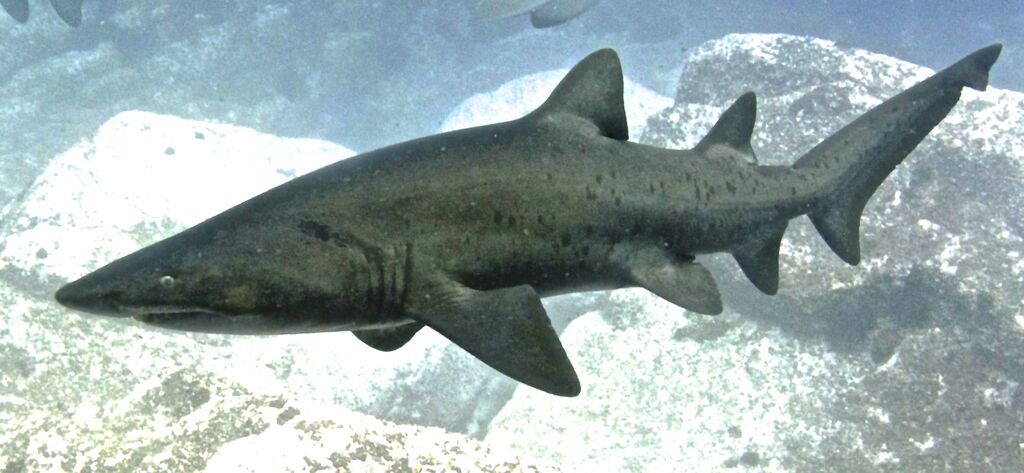 a7a22f37-5079-43c6-afbb-35325b012001