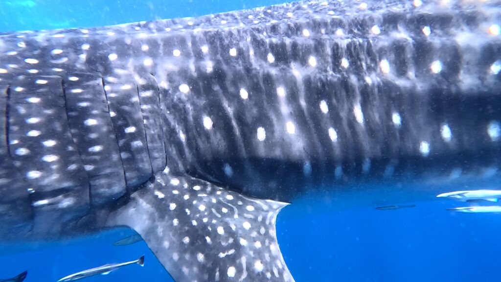 19466970-6501-4214-8819-1a2af2b4bfa2