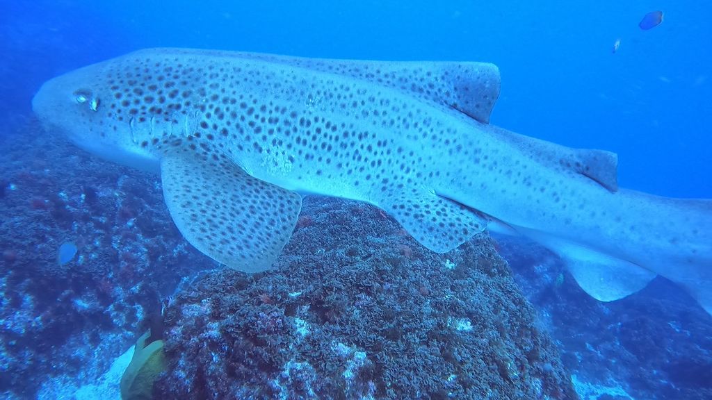 a62a67d3-73d8-4fe4-b3d5-90bed4a8756f