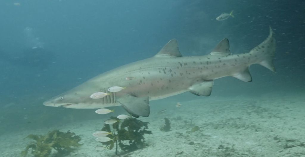 f4590363-b3e8-44a9-b46f-bc58eb317179