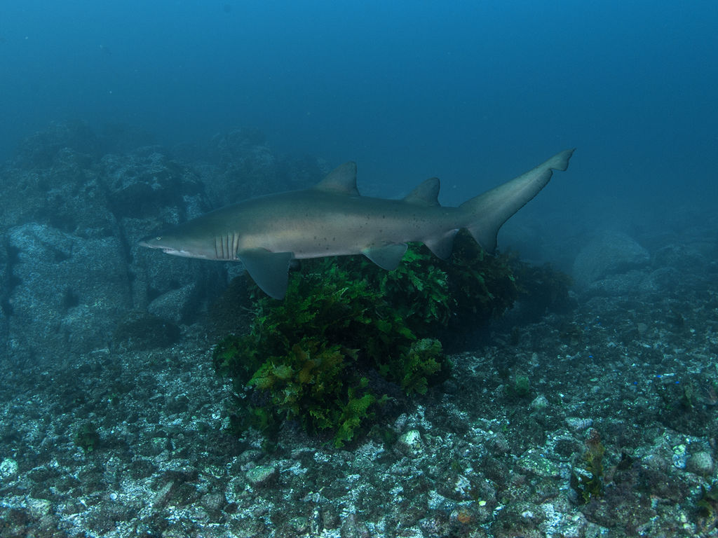 9bcddd17-2d17-45b4-8413-0d3c8adca1c0