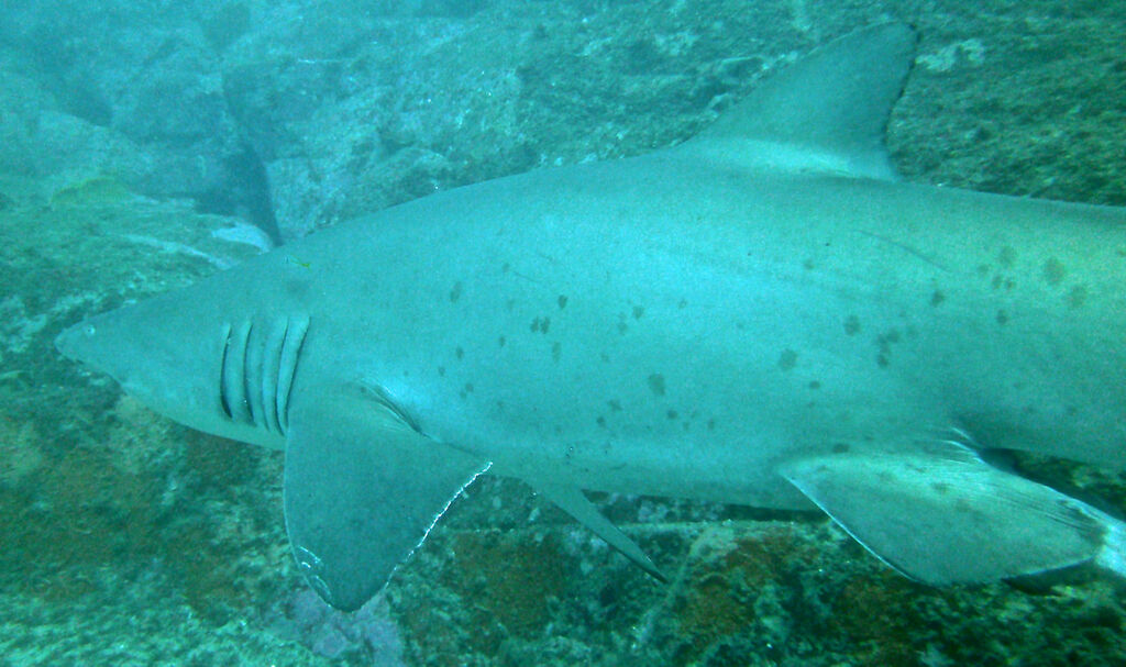 7997d142-d7fb-4fe1-a949-b28bfb994a49