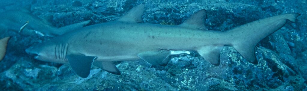 1e220202-5e15-4119-97e9-4ce1144f9864