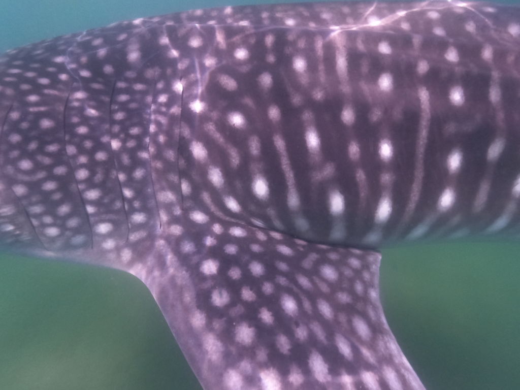 33f0d643-c21c-491a-946a-e32dc32d1ec9