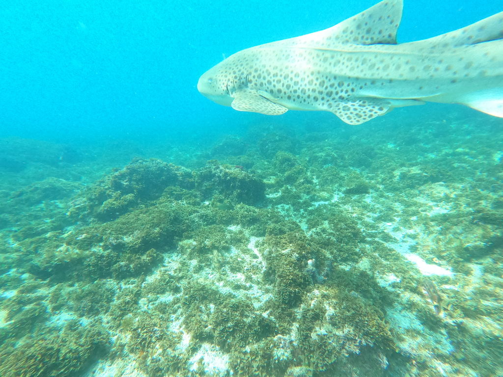 a8a27b58-d8a5-45bd-b2a0-c9a9b0756f02