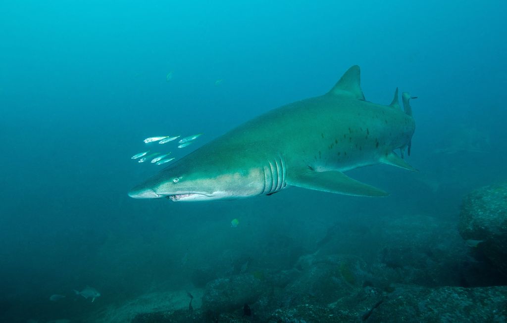 fe798643-48a4-4e77-816b-f14d8dc73779