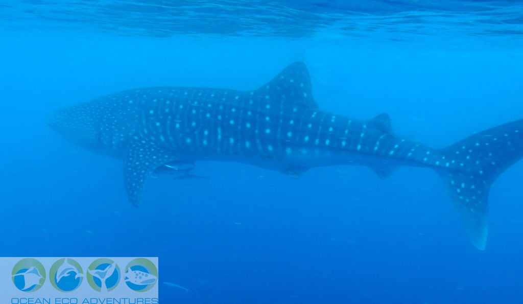 36a6d851-703c-413a-95b9-d07027b7a6a6