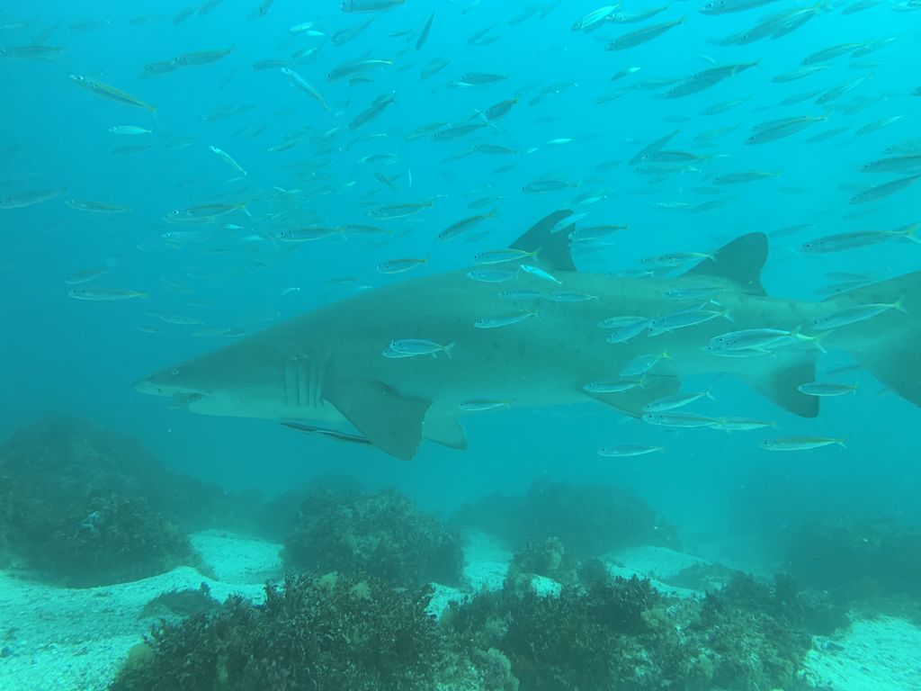 26493e76-125a-4edf-a14e-240648aa960f