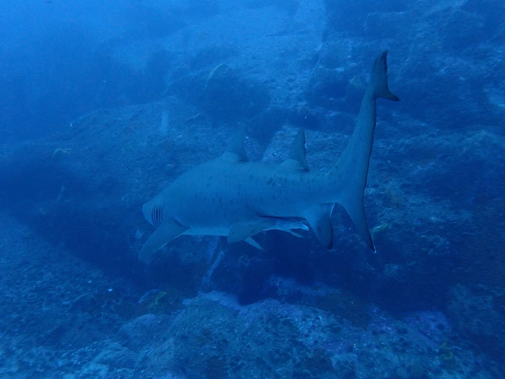 31bdcfaf-efd1-41fc-8b77-f6785debc9f7