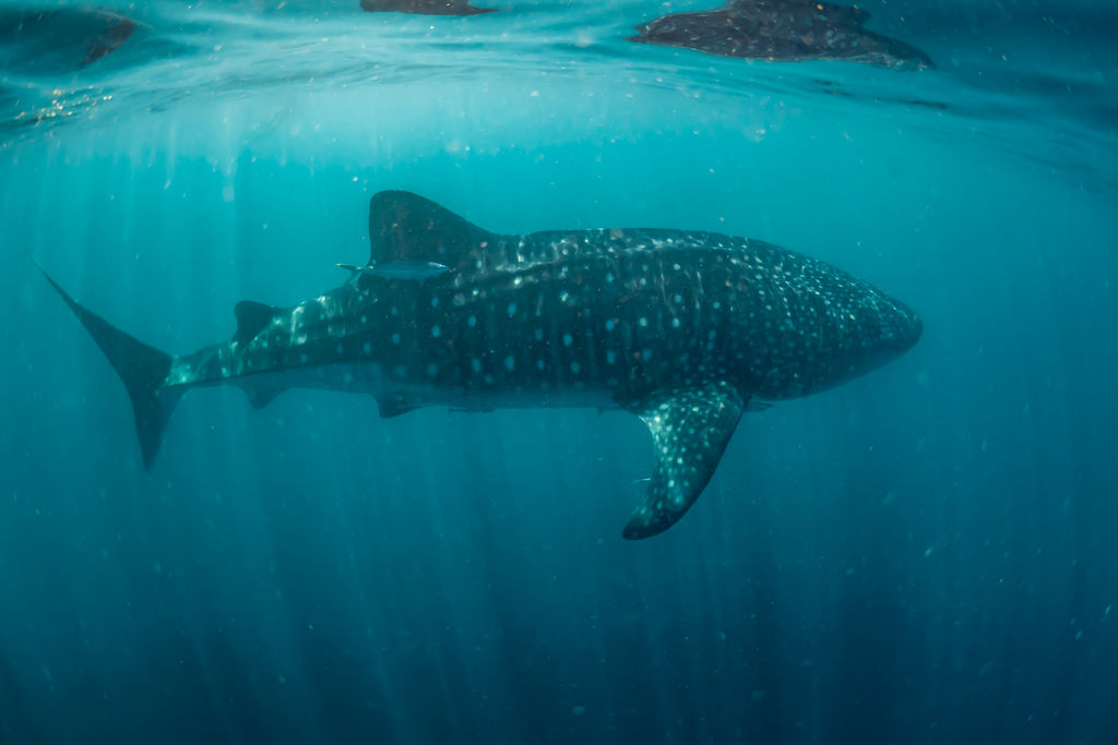 3157d17f-6f30-4765-bc0b-bd124c3560fa