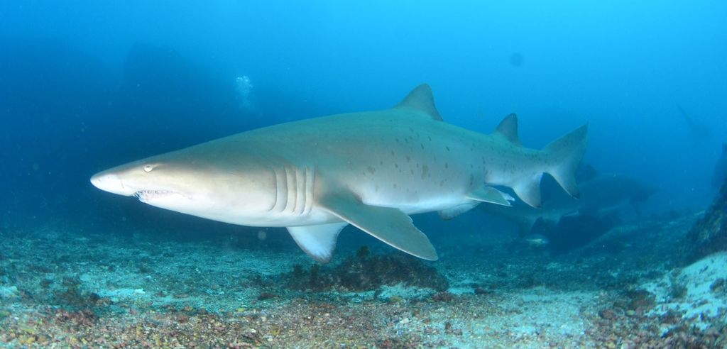 7a2f00a8-8f12-4fb0-bfd0-517225e48a09