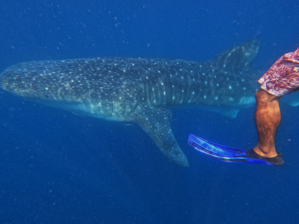 68d6aaa7-fc3c-4e89-a2d4-c886bc5f1848