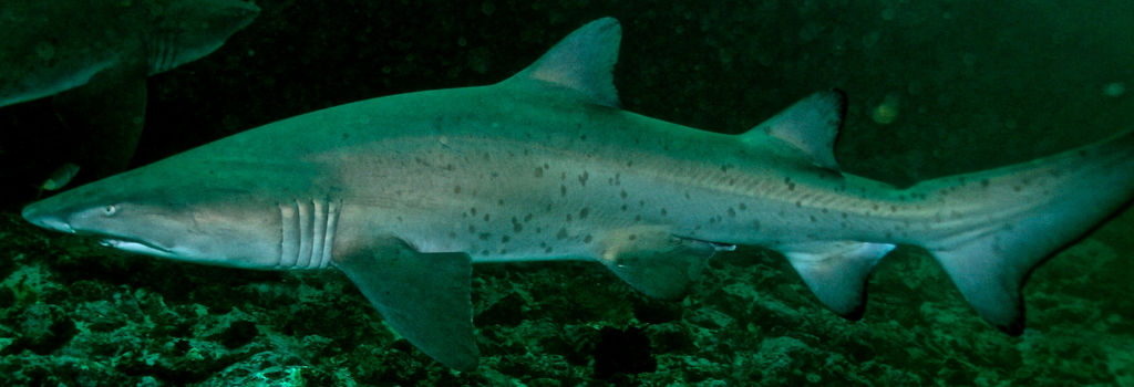 607bad38-3b45-4d84-8a48-62ce50130adb