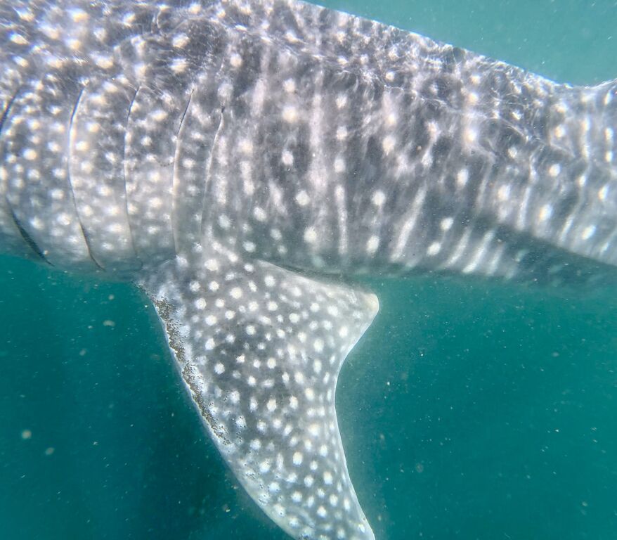 3d594d6f-f909-4258-96ff-d0dcd98410c1