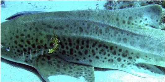 a50a3a04-e02e-4a51-ab1f-556ead886766