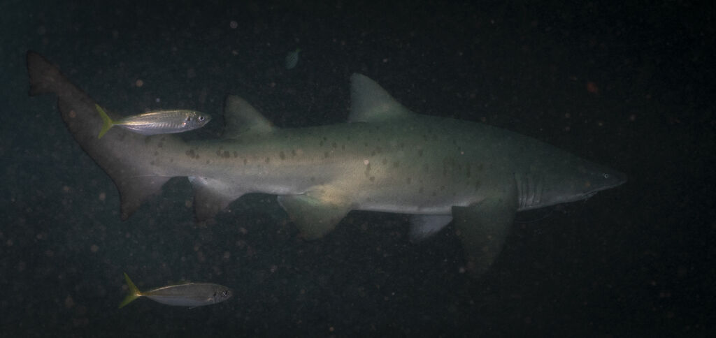 7eb45a5a-7440-4d3c-a7fe-8e6a25db21fb