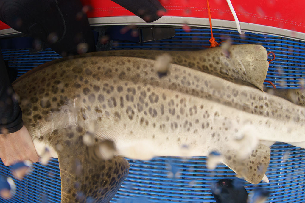 b80622cc-7f5b-4717-886b-9eaaea2f8b1d