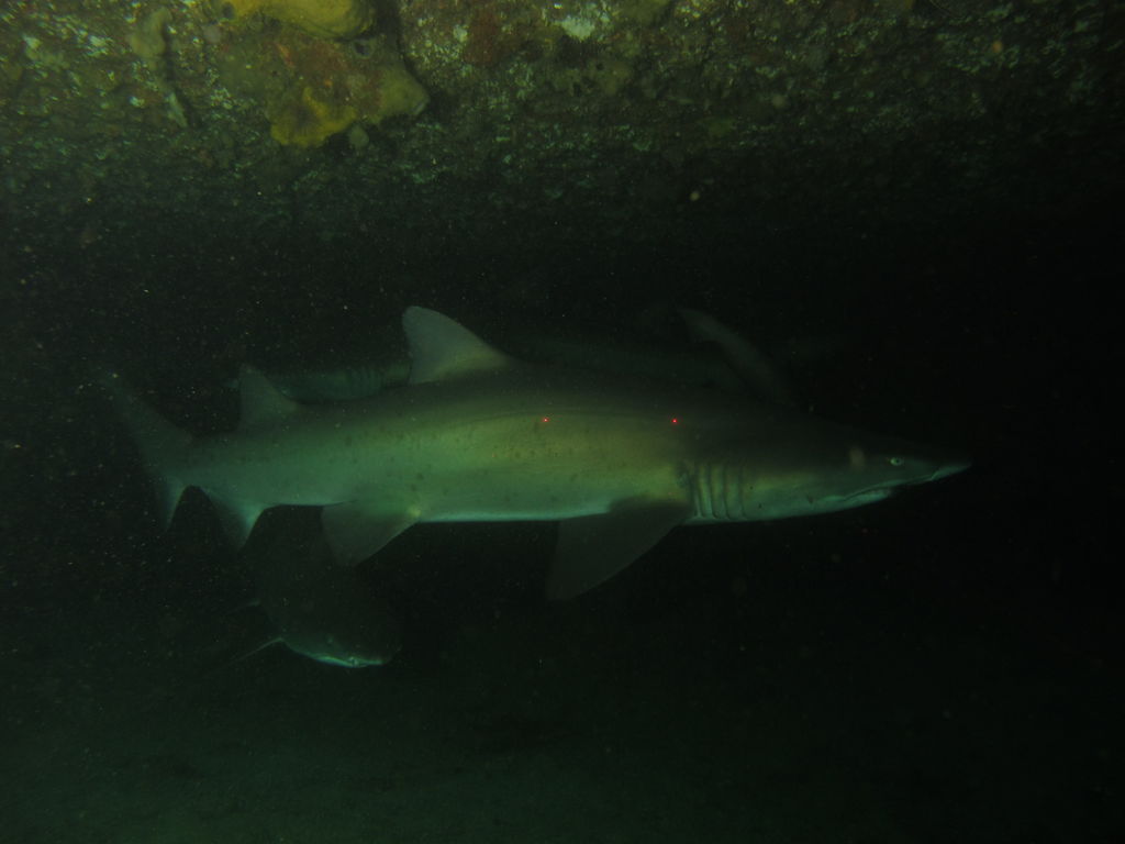 fbef563c-f11a-42e3-ba3e-208e4201314d