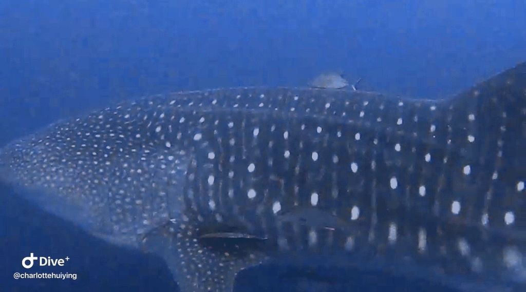 50dc21cc-0eb8-4103-b00b-e8add790fdd6