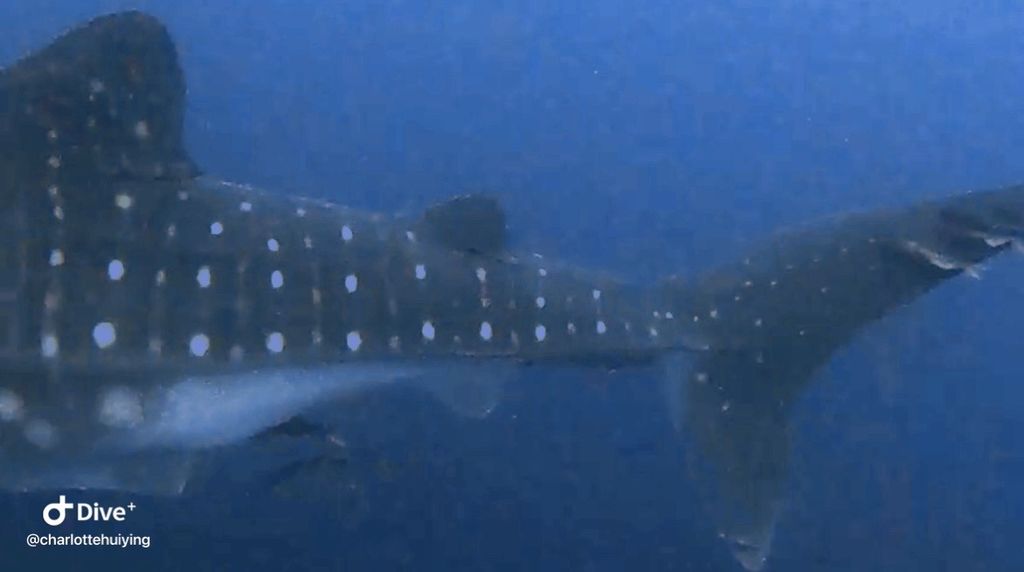 50dc21cc-0eb8-4103-b00b-e8add790fdd6