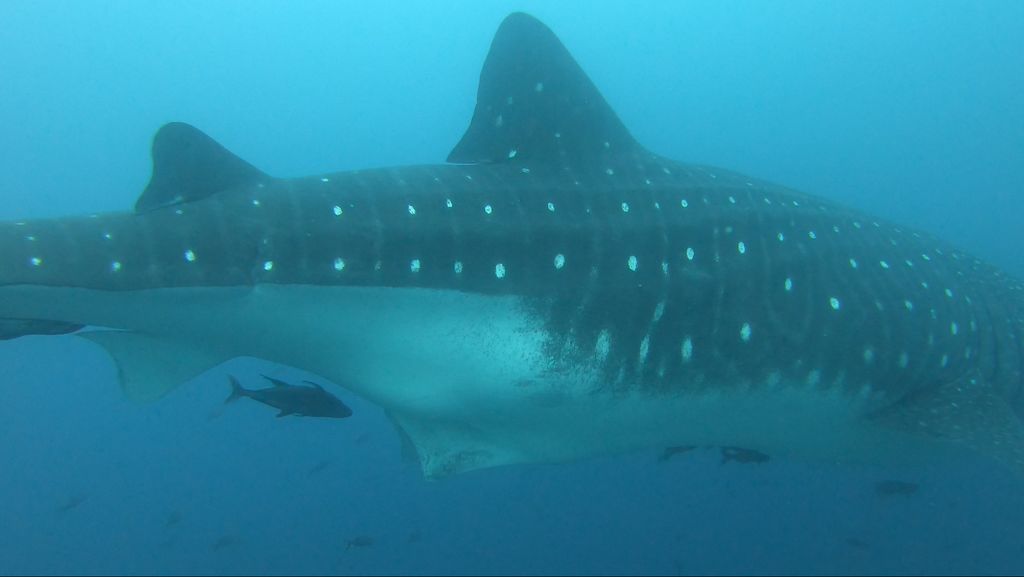 3a0eef9f-4245-4a7a-95fa-30519772a644