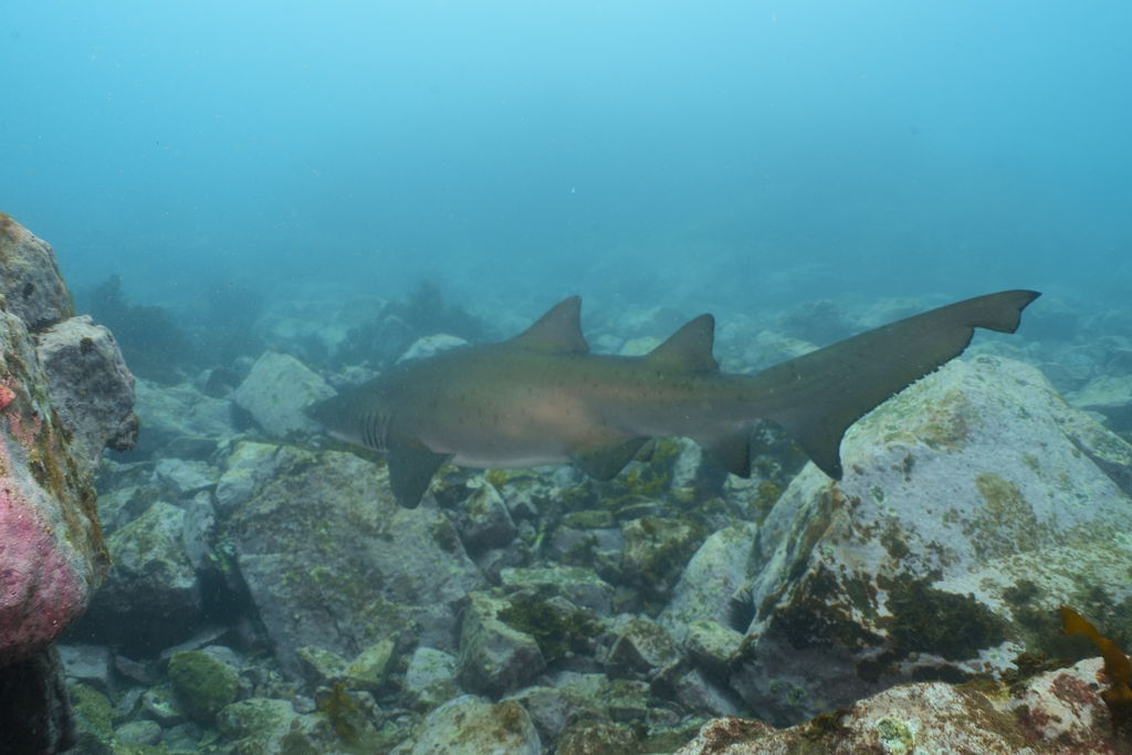 fae69432-8bf9-4a3d-af32-26b19cc95bcc