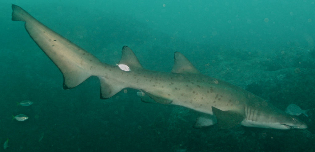 07aa88f4-de82-4ca2-b3f2-296051b72f68