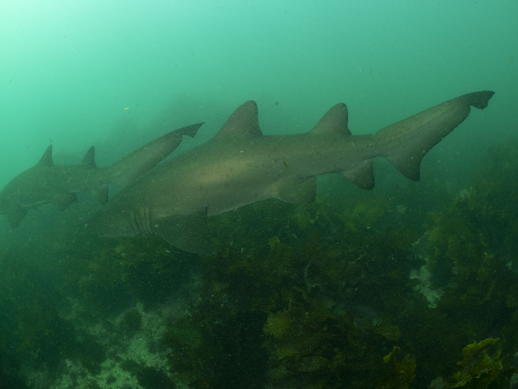 53612317-c837-4af7-a299-86df2867ad1f