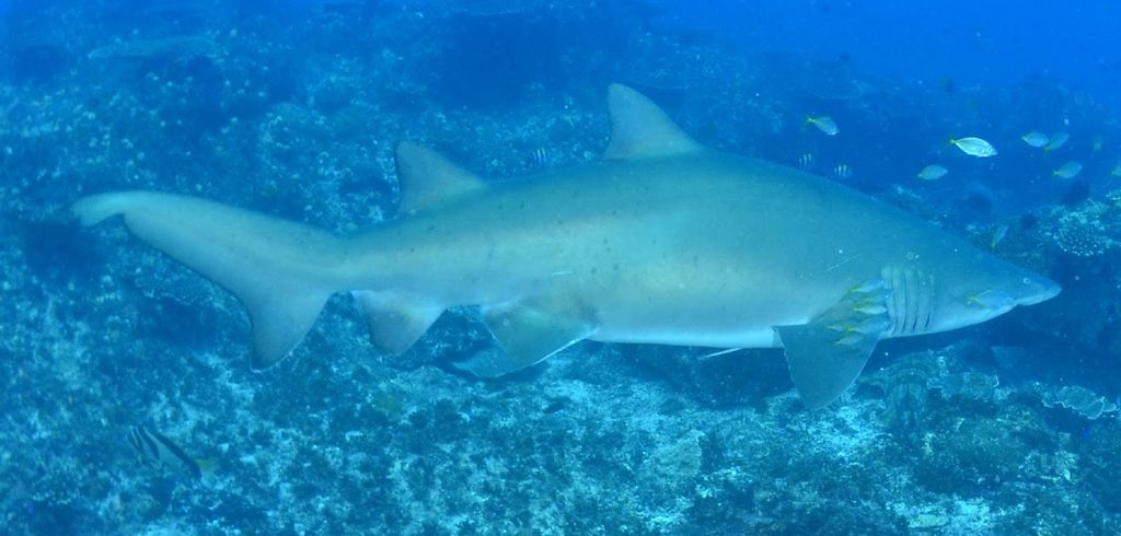 af957dbe-90a2-425b-a4ca-b71dde2bf3ae