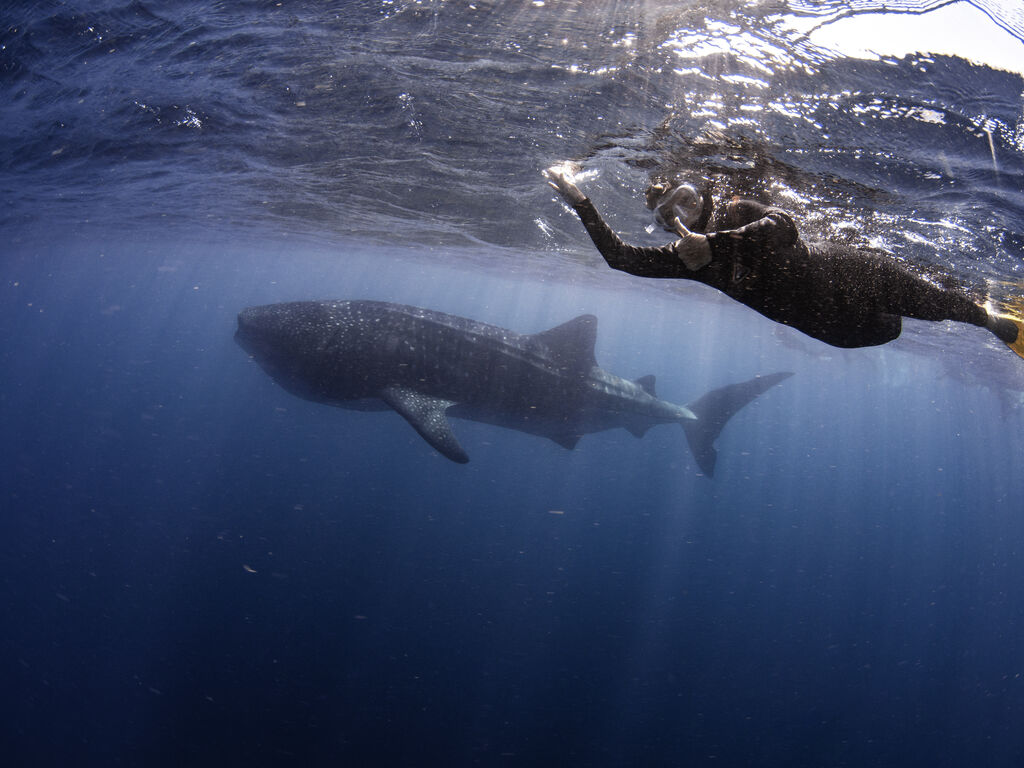 1c712fa3-2b4c-4b32-a024-7336d3ceeba0