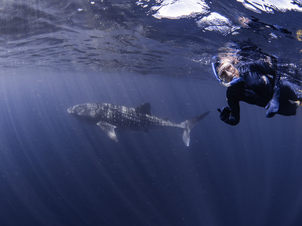 65e35faf-dd71-42e3-ac74-92f435d7143a